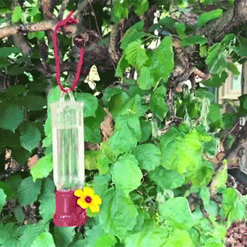 🔥Annual Offer - New Leak-Proof Design Hummingbird Feeder (4 Pack)